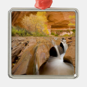 Adorno Metálico Algodoneros en Otoño, Coyote Gulch, Glen