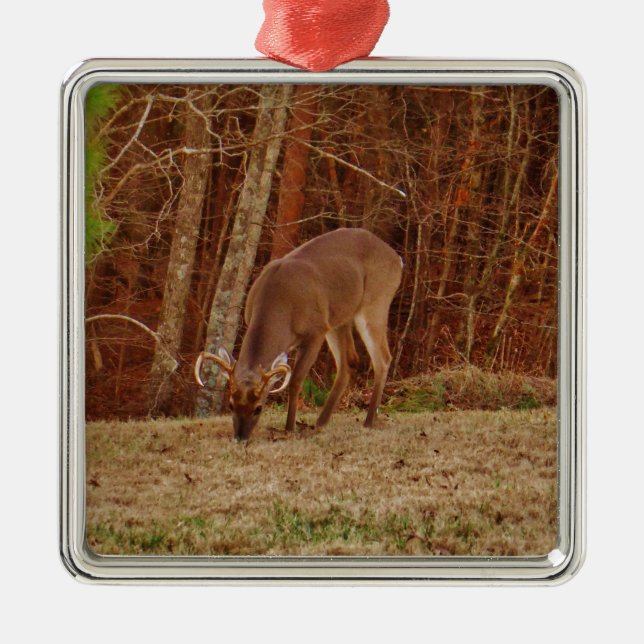 Adorno Metálico Alimento de ciervos de buck de camuflaje rojo (Frente)