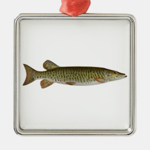 Adorno Metálico Almizclado (muskellunge)