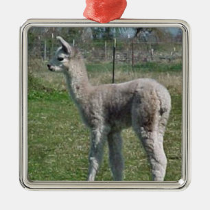 Adorno Metálico Alpaca Cria