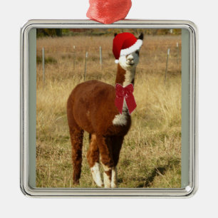 Adorno Metálico Alpaca Santa