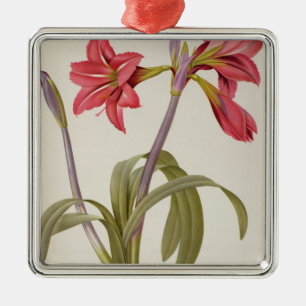 Adorno Metálico Amaryllis Brasiliensis
