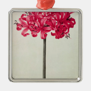 Adorno Metálico Amaryllis Sarniensis, o narciso