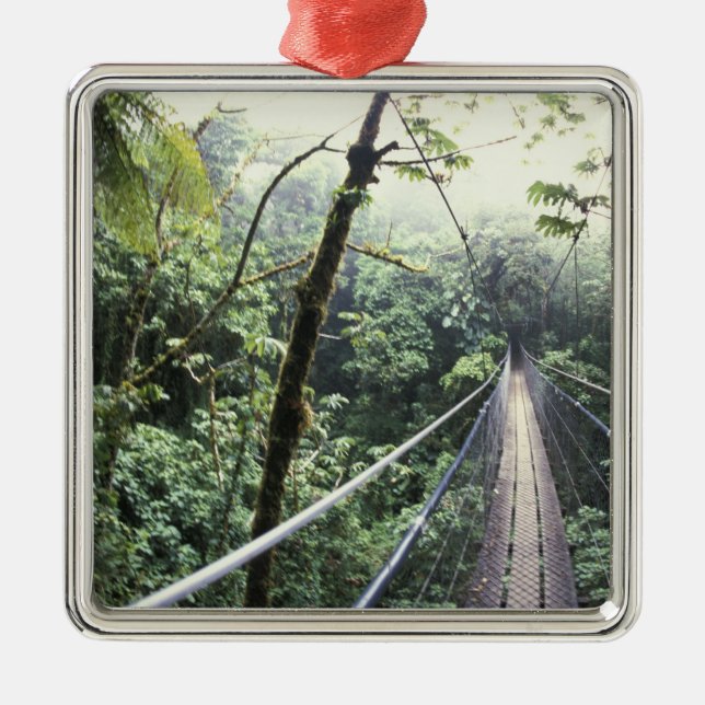 Adorno Metálico América Central, Costa Rica, Nube Monteverde (Frente)