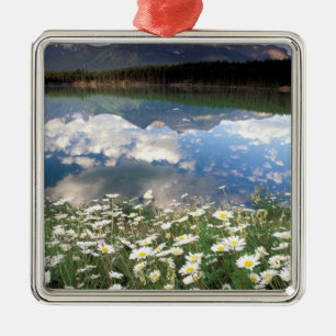 Adorno Metálico América del Norte, Canadá, Alberta, Banff Nation