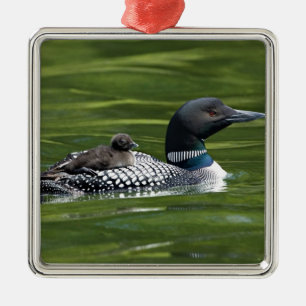 Adorno Metálico América del Norte, Canadá, Columbia Británica, Lac