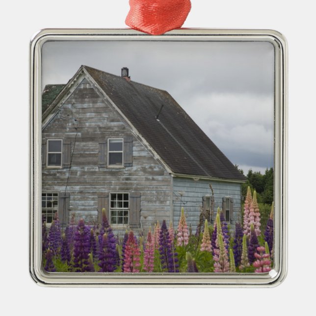 Adorno Metálico América del Norte, Canadá, Isla del Príncipe Eduar (Frente)