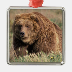 Adorno Metálico América del Norte, Estados Unidos, Alaska, isla de