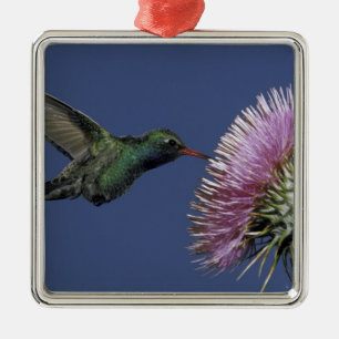 Adorno Metálico América del Norte, Estados Unidos, Arizona. De fac