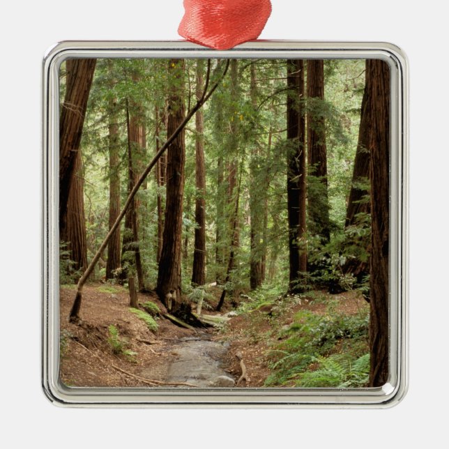 Adorno Metálico América del Norte, Estados Unidos, California, Big (Frente)