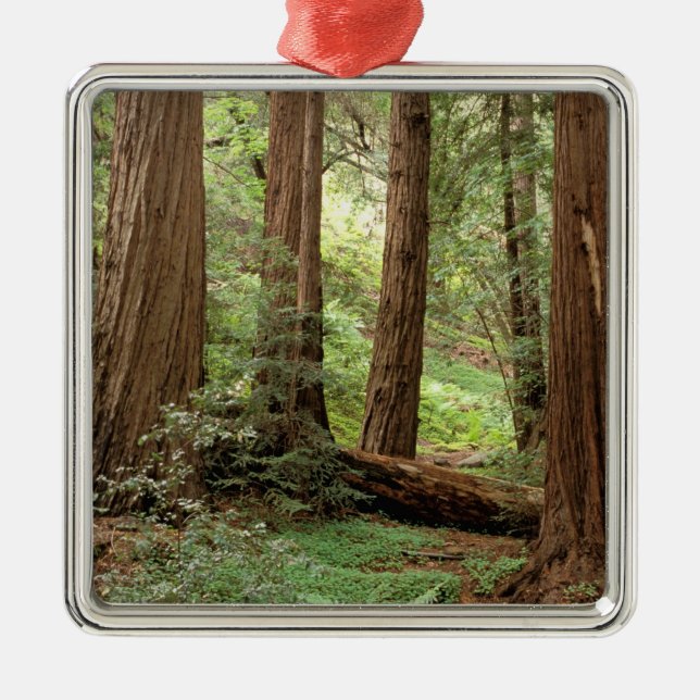 Adorno Metálico América del Norte, Estados Unidos, California, Big (Frente)