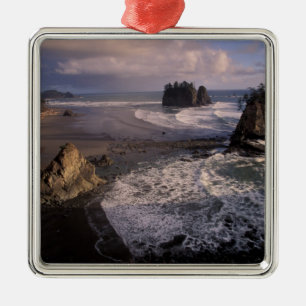 Adorno Metálico América del Norte, Estados Unidos, Washington, Oly