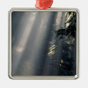 Adorno Metálico América del Norte, Estados Unidos, Washington, Oly