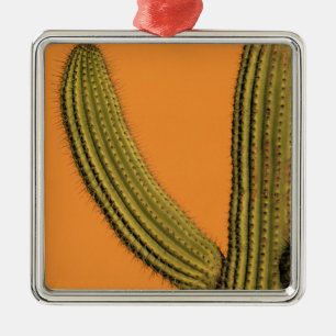 Adorno Metálico América del Norte, México, Baja California, Cabo