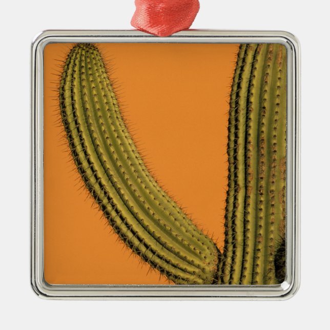 Adorno Metálico América del Norte, México, Baja California, Cabo (Frente)