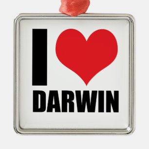 Adorno Metálico Amo a Darwin