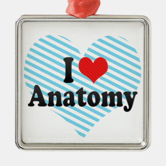 Adorno Metálico Amo la anatomía