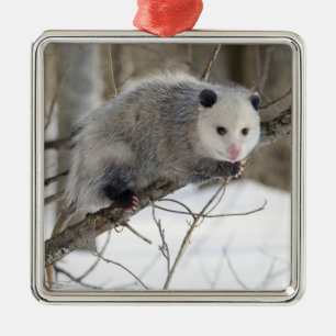 Adorno Metálico Amor opossum