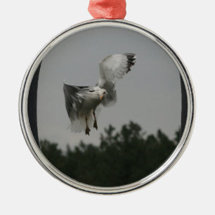 Adorno Metálico Añadir foto marco ovalado grande (negro)