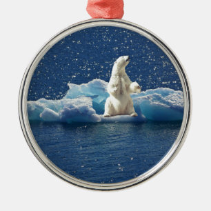 Adorno Metálico Añadir SLOGAN para salvar el hielo polar del plane