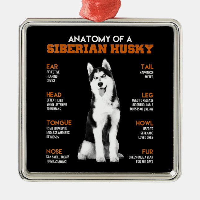 Adorno Metálico Anatomía de un arte divertido de perros Husky sibe (Frente)