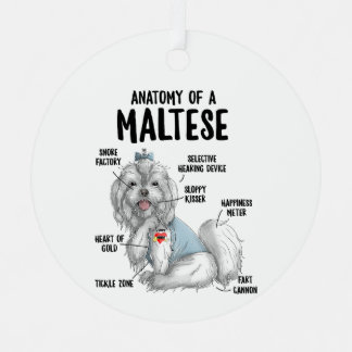 Adorno Metálico Anatomía de un perrito maltés Perro cachorro graci