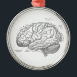 Adorno Metálico Anatomía del cerebro del vintage<br><div class="desc">Anatomía del cerebro del vintage</div>