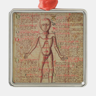 Adorno Metálico Anatomía del cuerpo humano