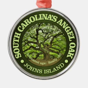 Adorno Metálico Angel Oak