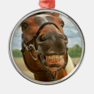 Adorno Metálico Animal - Caballo - Finalmente me quitaron los brac
