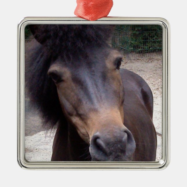 Adorno Metálico Animal, caballo, Pony (Frente)