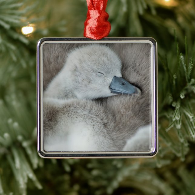 Adorno Metálico Animales de bebé más afectados | Baby Mute Swan (Árbol)