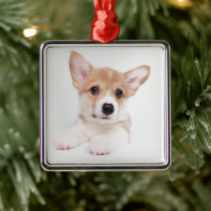 Adorno Metálico Animales de bebé más afectados Bebé dulce Corgi