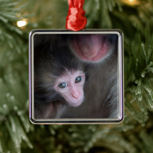 Adorno Metálico Animales de bebé más afectados Bebé Macaque Mono