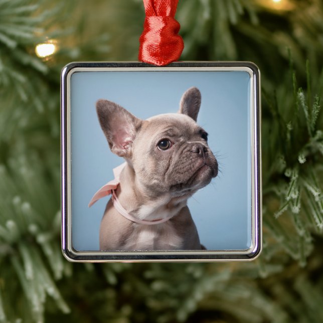 Adorno Metálico Animales de bebé más afectados | Bulldog francés d (Árbol)