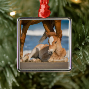 Adorno Metálico Animales de bebé más afectados   Caballo salvaje C