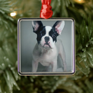 Adorno Metálico Animales de bebé más afectados   Cachorro de Bulld