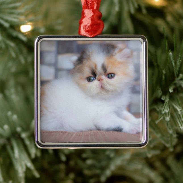 Adorno Metálico Animales de bebé más afectados | Calico Persian Ki (Árbol)