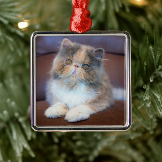 Adorno Metálico Animales de bebé más afectados | Calico Persian Ki (Árbol)