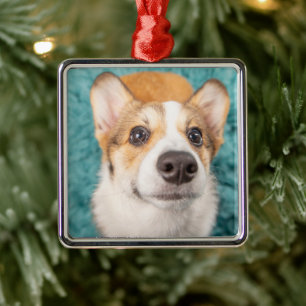 Adorno Metálico Animales de bebé más afectados   Cara dulce Corgi 