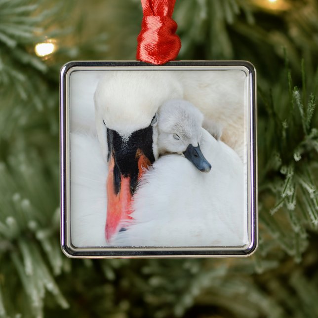 Adorno Metálico Animales de bebé más afectados | Cisne de mamada m (Árbol)