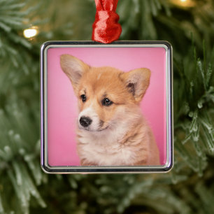Adorno Metálico Animales de bebé más afectados Corgi Puppy en Ro