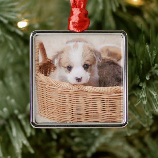 Adorno Metálico Animales de bebé más afectados | Corgi Tiny Puppy (Árbol)