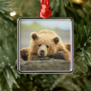 Adorno Metálico Animales de bebé más afectados Cubo de oso marró