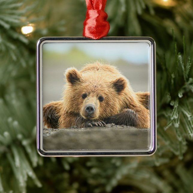 Adorno Metálico Animales de bebé más afectados | Cubo de oso marró (Árbol)