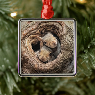 Adorno Metálico Animales de bebé más afectados   Dos ardillas jóve