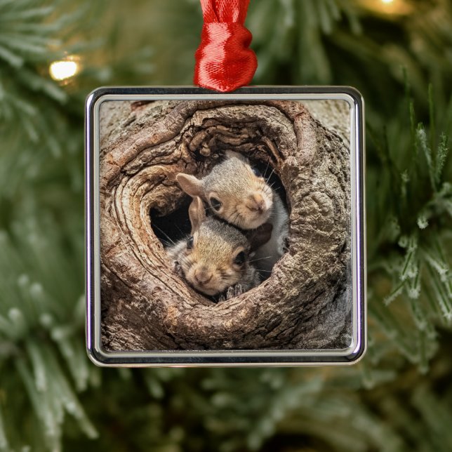 Adorno Metálico Animales de bebé más afectados | Dos ardillas jóve (Árbol)