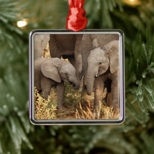 Adorno Metálico Animales de bebé más afectados Dos jóvenes elefa