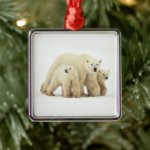 Adorno Metálico Animales de bebé más afectados   Familia Oso Polar