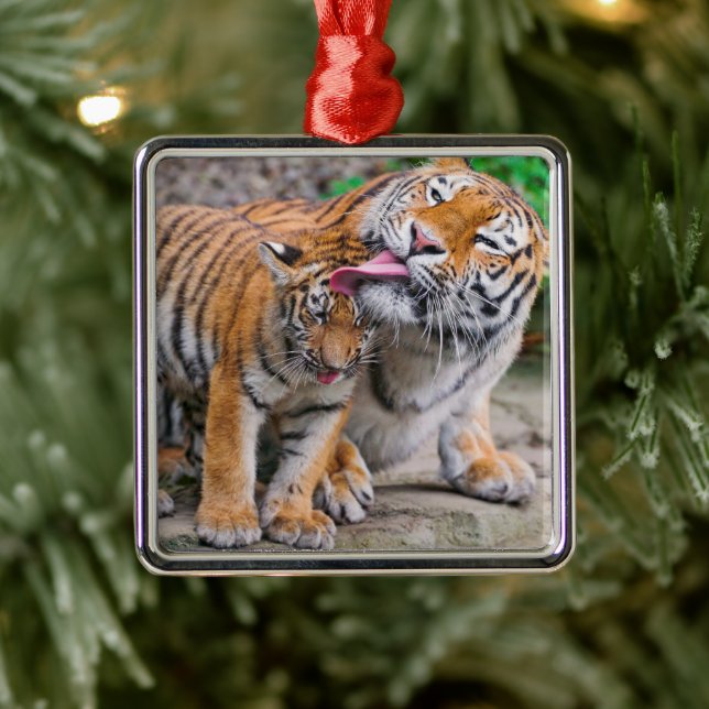 Adorno Metálico Animales de bebé más afectados | Familia Tigre sib (Árbol)